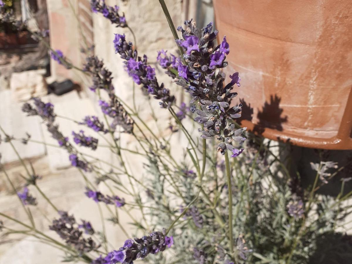 B&B San Francesco Assisi Kültér fotó